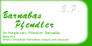 barnabas pfendler business card